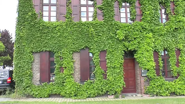 Deep throat deviance by novice nuns